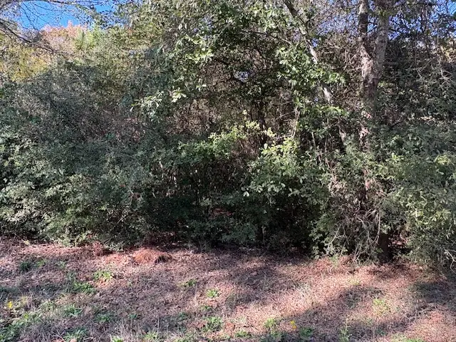TBD Lot 20 Nassau Lane, Hilltop Lakes, TX 77871 - Image #2