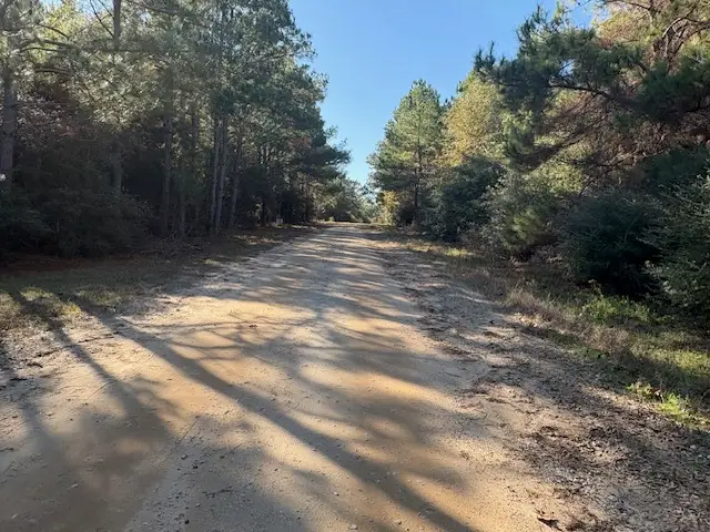 TBD Lot 20 Nassau Lane, Hilltop Lakes, TX 77871 - Image #3