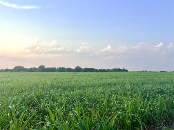 366 County Road 123, Other, TX 76518