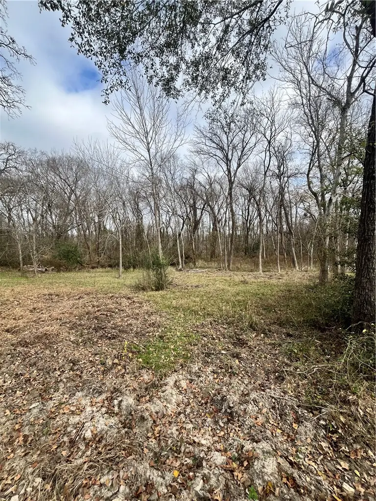 2709 Teakwood Ct, College Station, TX 77845 - Image #3