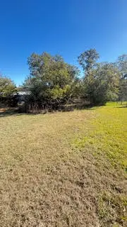 TBD Birch Hill Lane, Somerville, TX 77879 - Image #3