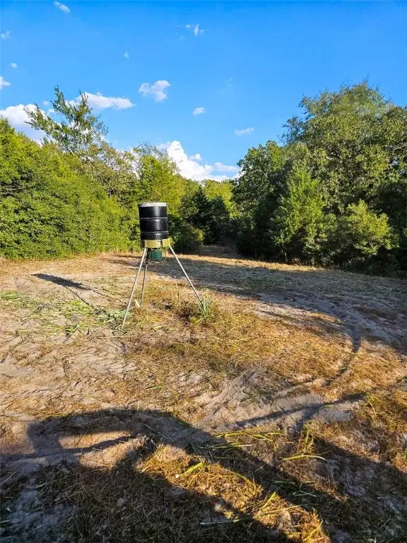 TBD County Rd. 482, Normangee, TX 77871 - Image #3