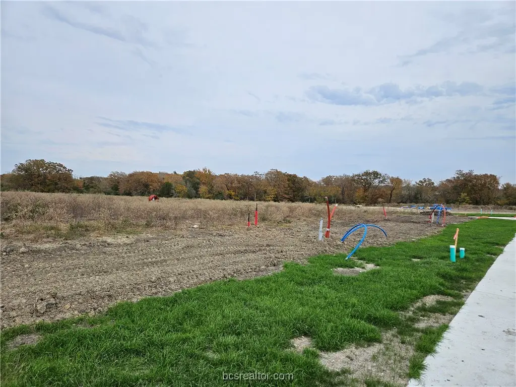 2823 Captain Drive, Bryan, TX 77808 - #1