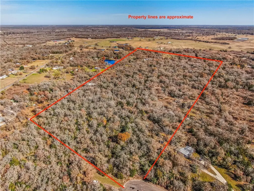 9782 Panther Creek Road, Iola, TX 77861 - Image #1