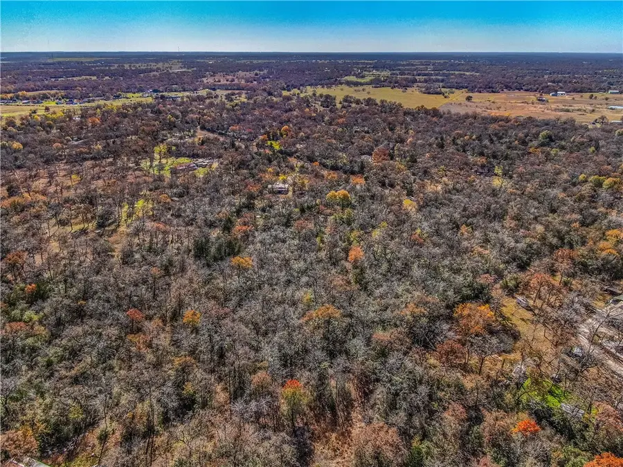 9782 Panther Creek Road, Iola, TX 77861 - Image #2