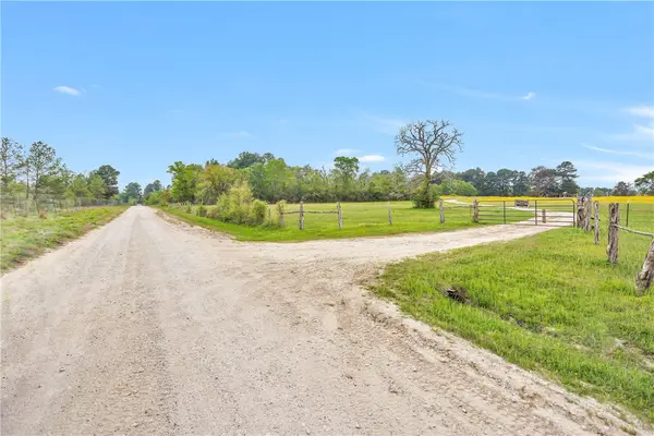 15487 County Road 228, Bedias, TX 77830