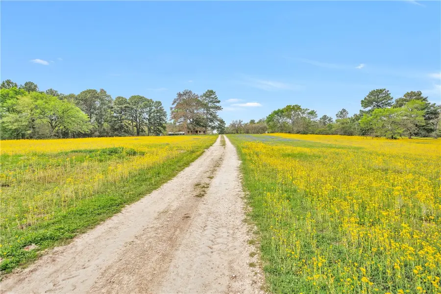 15487 County Road 228, Anderson Bedias, TX 77830 - Image #3