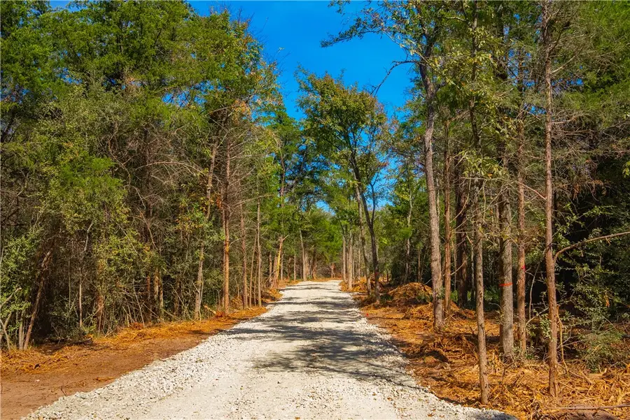 12608 Red Hill Rd, Hearne, TX 78628 - Image #2