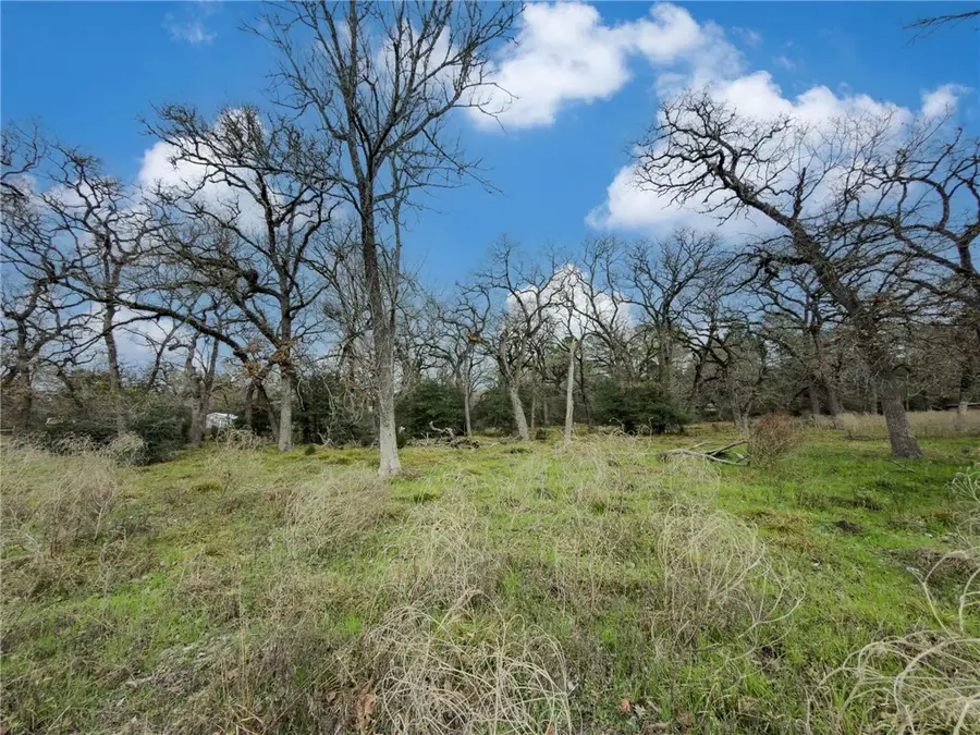 TBD Cr 151, Bedias, TX 77831 - #2