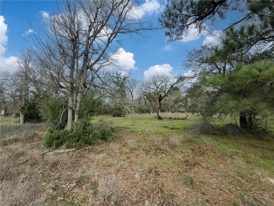 TBD Cr 151, Bedias, TX 77831 - #3