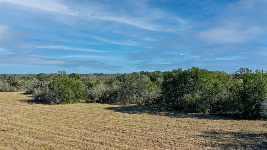 Lot 6 County Rd 229, Bedias, TX 77831 - #2
