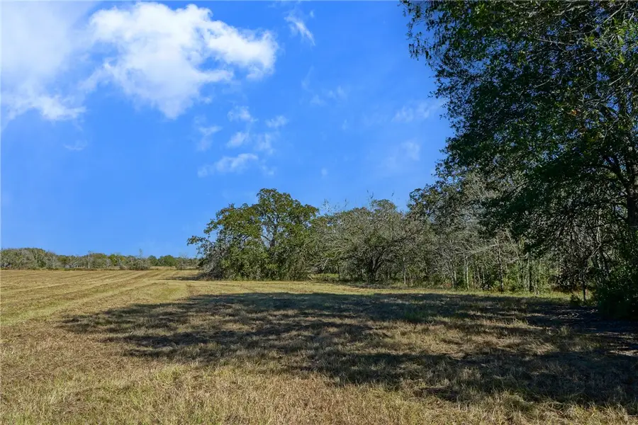 Lot 6 County Rd 229, Bedias, TX 77831 - #3