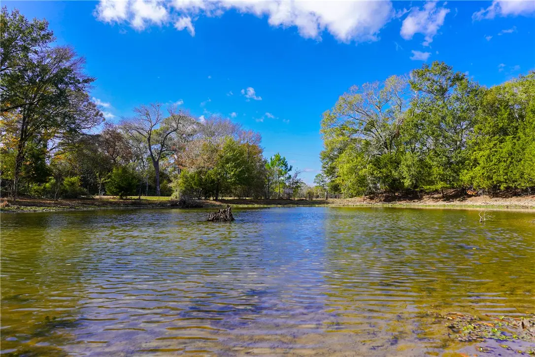 31174 Courtney Rd, Navasota, TX 77868 - #1