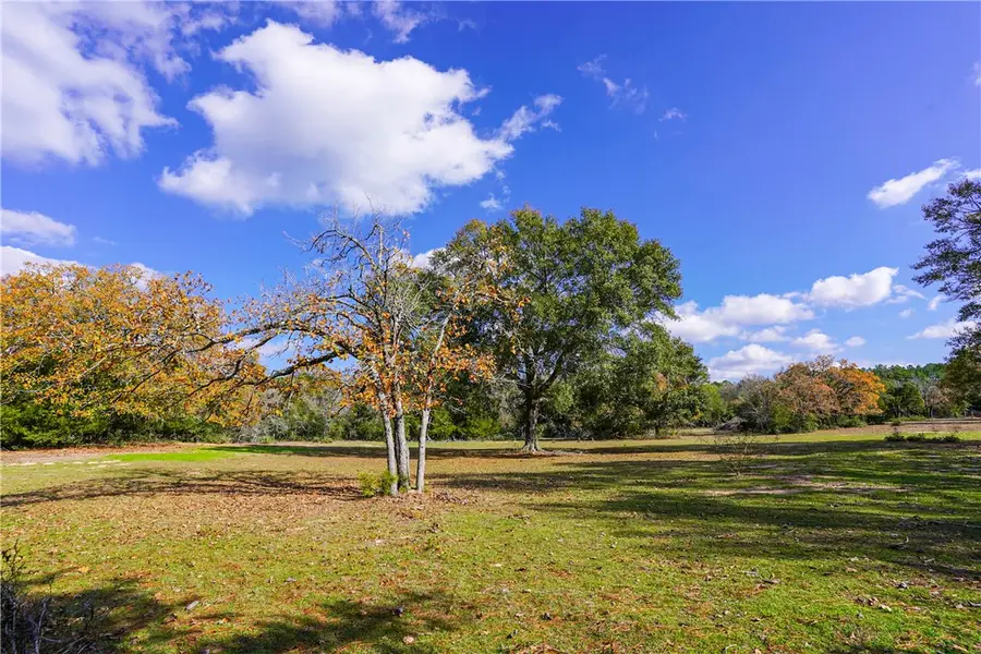 31174 Courtney Rd, Navasota, TX 77868 - #3