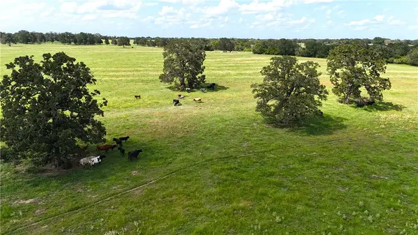 9233 County Road 103, Iola, TX 77861