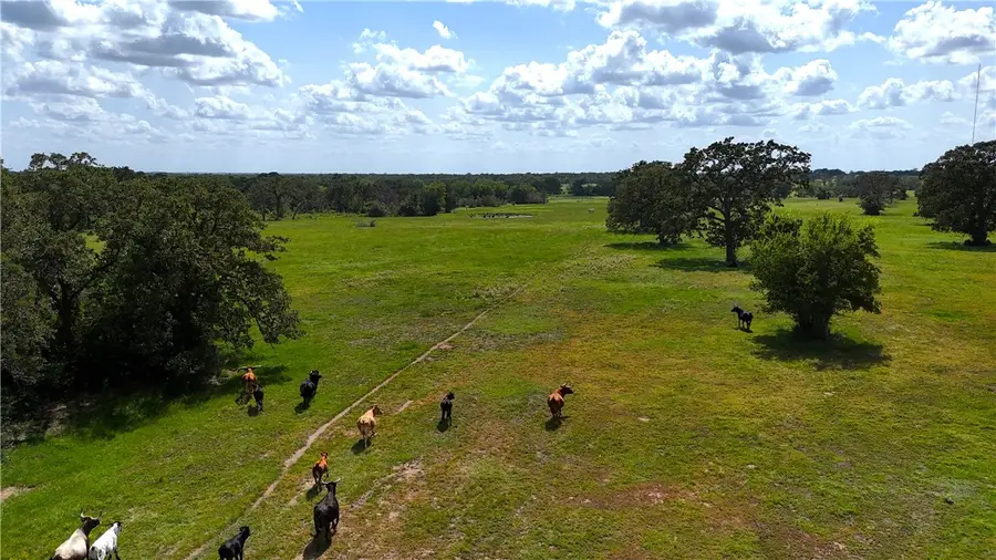 9233 County Road 103, Iola, TX 77861 - Image #3