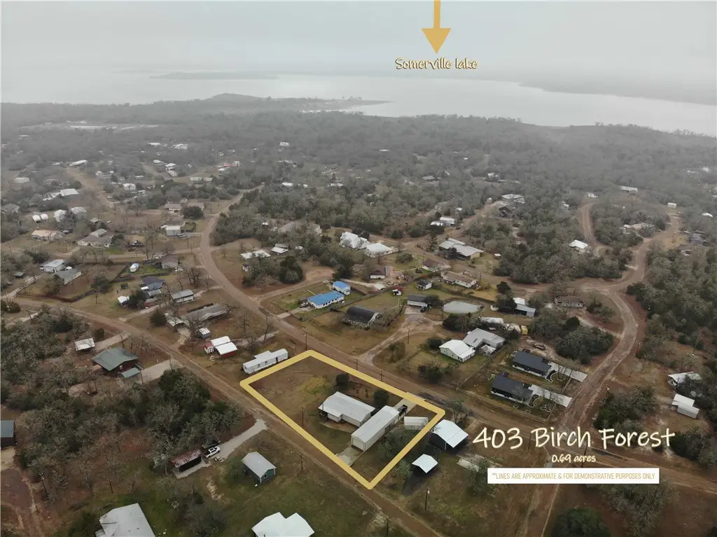 403 Birch Forest Drive, Somerville, TX 77879 - #1