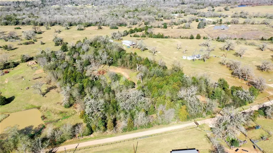 1224 S State Street, Madisonville, TX 77864 - #3