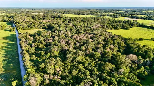 TBD Mt Pleasant Road, Franklin, TX 77856 - Image #1