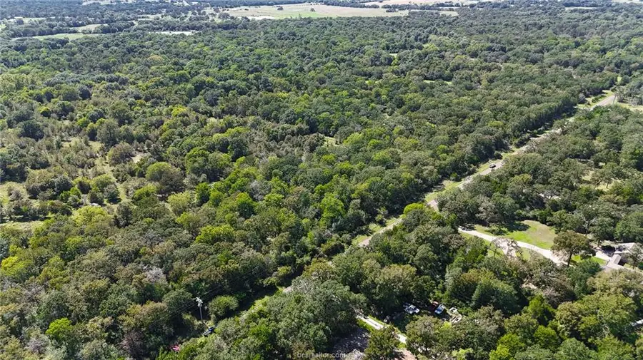 TBD Lot 1 Grassbur Road, Bryan, TX 77808 - Image #2