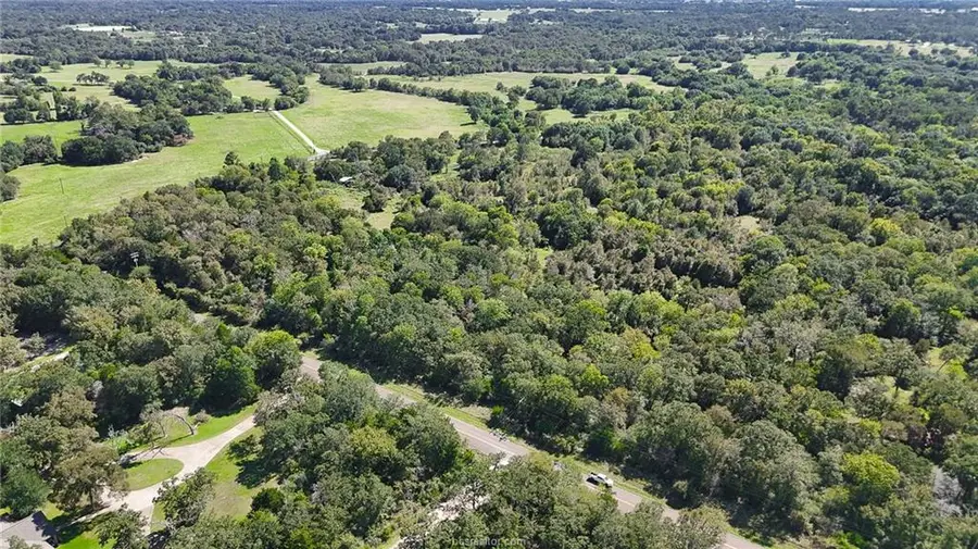 TBD Lot 1 Grassbur Road, Bryan, TX 77808 - Image #3