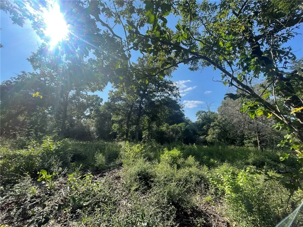 TBD Dogwood Lane, Hilltop Lakes, TX 77871 - #1