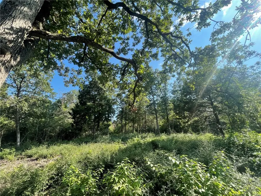 TBD Dogwood Lane, Hilltop Lakes, TX 77871 - #3