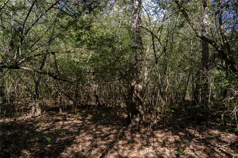 0000 Isaiah Estates, Bryan, TX 77808 - #3