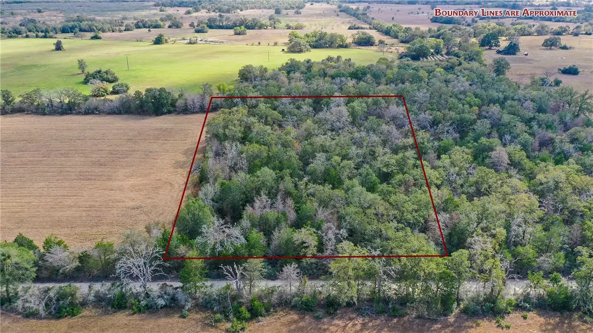 Lot 2 County Rd 229, Bedias, TX 77831 - #1