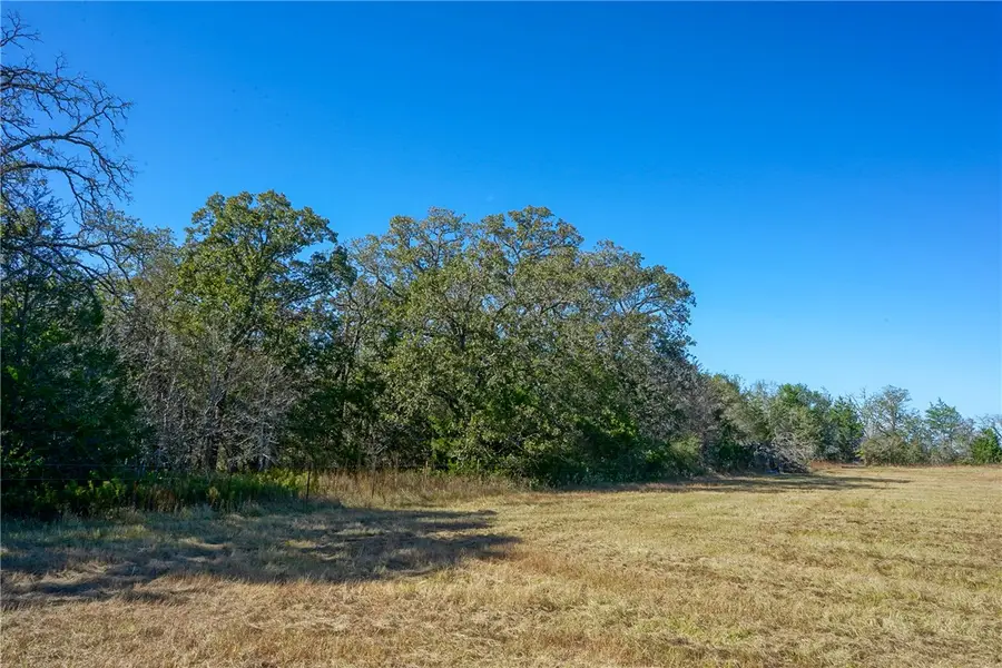 Lot 2 County Rd 229, Bedias, TX 77831 - #2