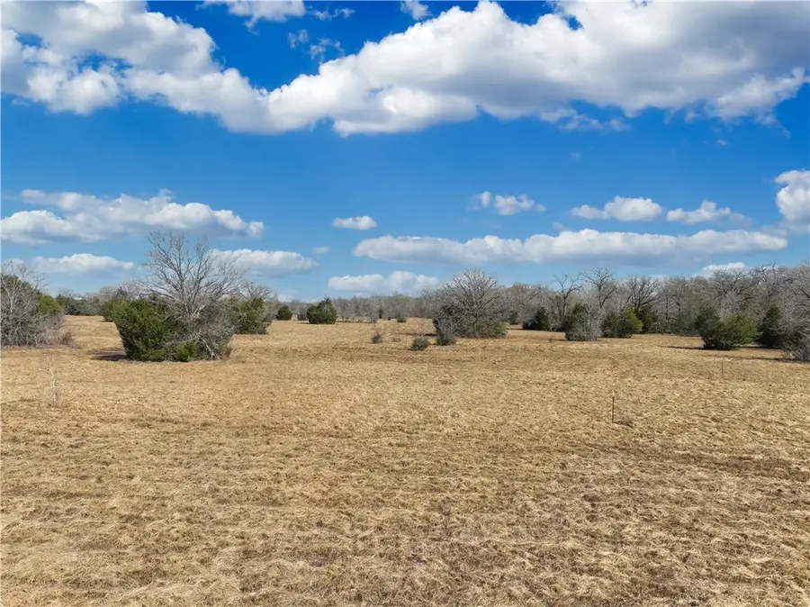 12599 Fm 2620, Bedias, TX 77831 - #3