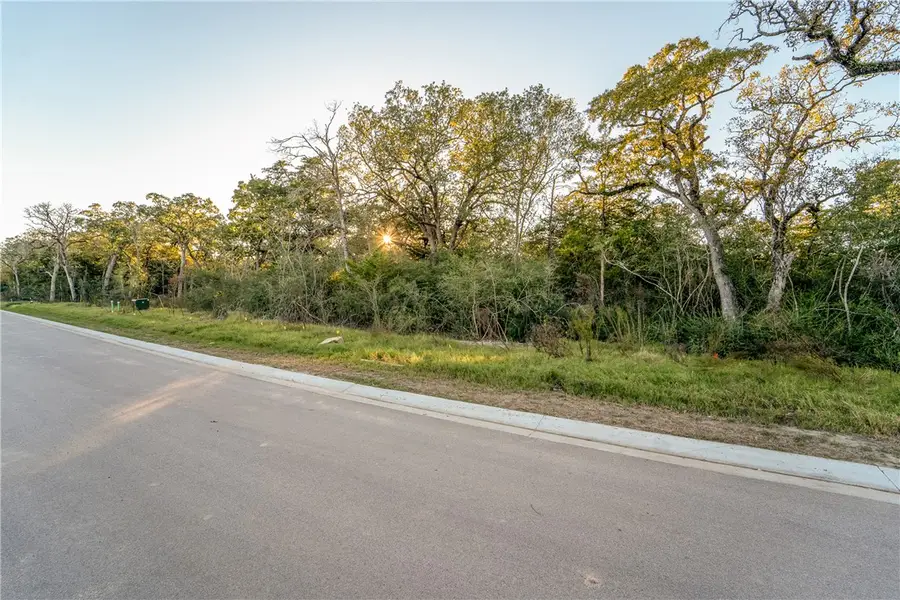 3064 Balsam Court, Bryan, TX 77807 - #3