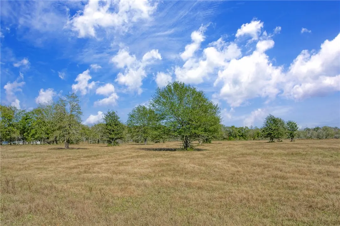 Lot 12 County Road 229, Bedias, TX 77831 - #1