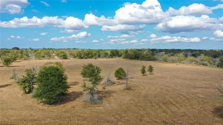 Lot 12 County Road 229, Bedias, TX 77831 - #3