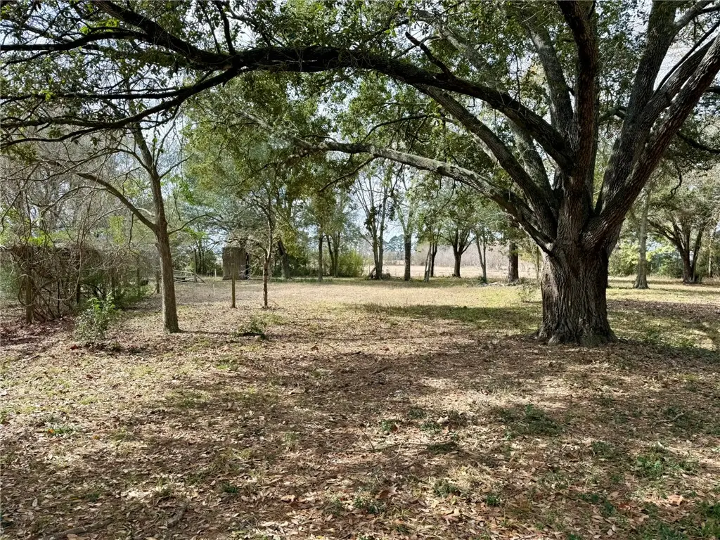 31318 Knebel Road, Waller, TX 77484 - #1