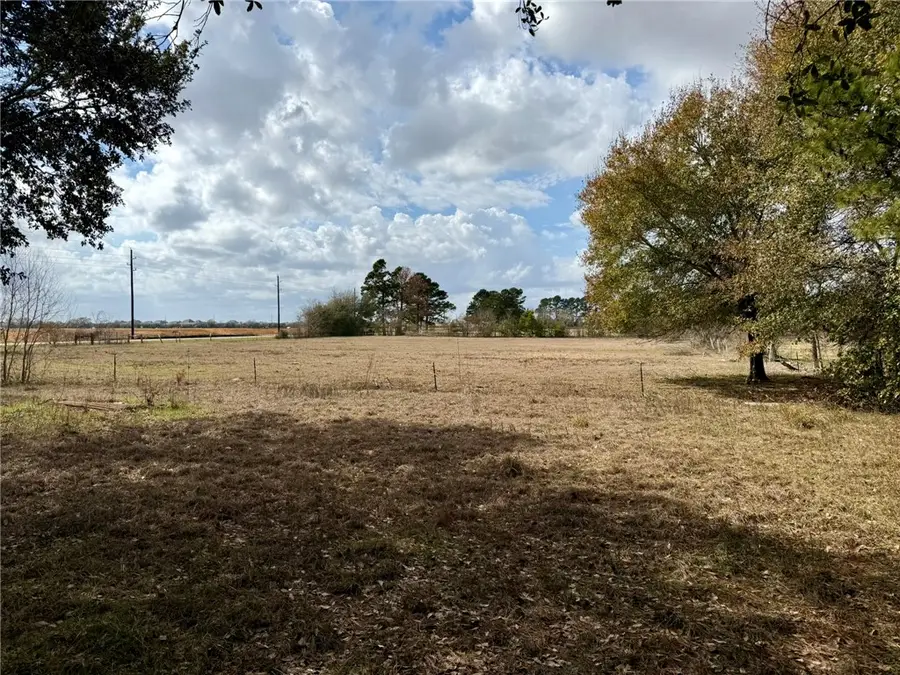 31318 Knebel Road, Waller, TX 77484 - #2