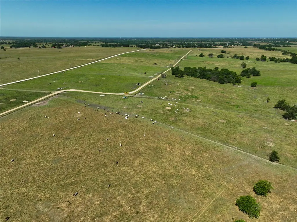 Tract #6 County Road 305, Navasota, TX 77868 - Image #1