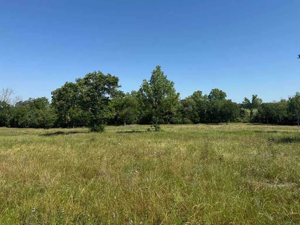 Tract #10 County Road 305, Navasota, TX 77868 - #1