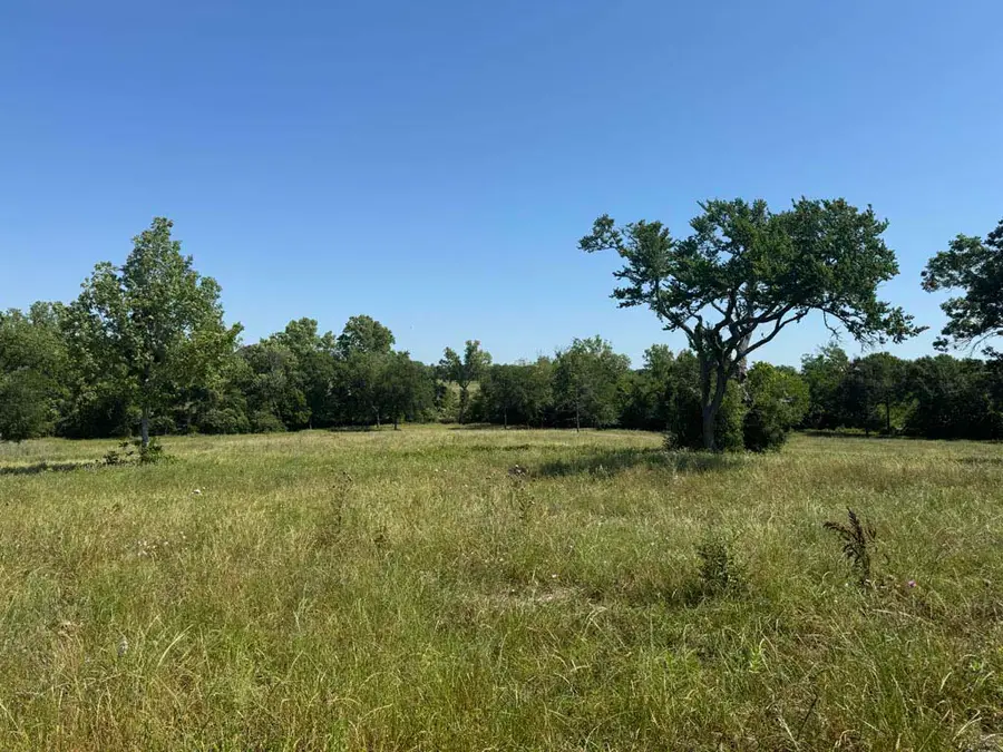 Tract #10 County Road 305, Navasota, TX 77868 - #2