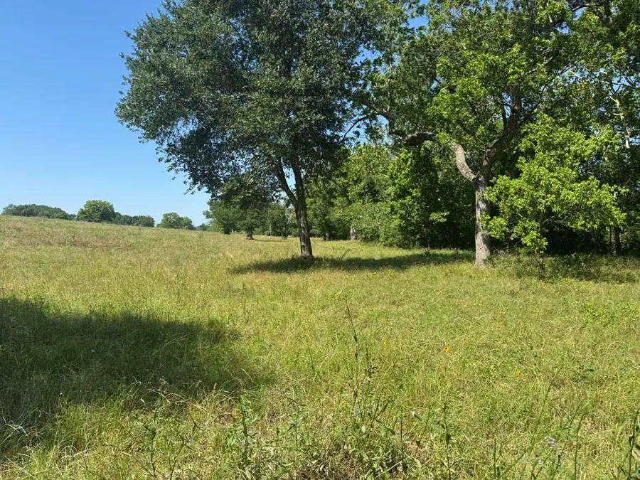 Tract #10 County Road 305, Navasota, TX 77868 - #3