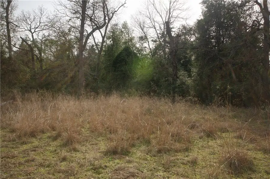 2455 County Road 386, Marquez, TX 77865 - #3