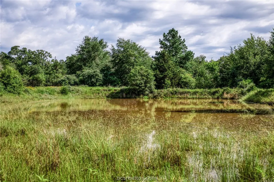 9808 Fm 908, Caldwell, TX 77836 - #1