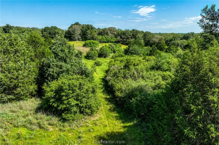 9808 Fm 908, Caldwell, TX 77836 - #3