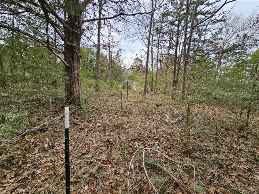 TBD Jackrabbit Lane, Bryan, TX 77808 - Image #3