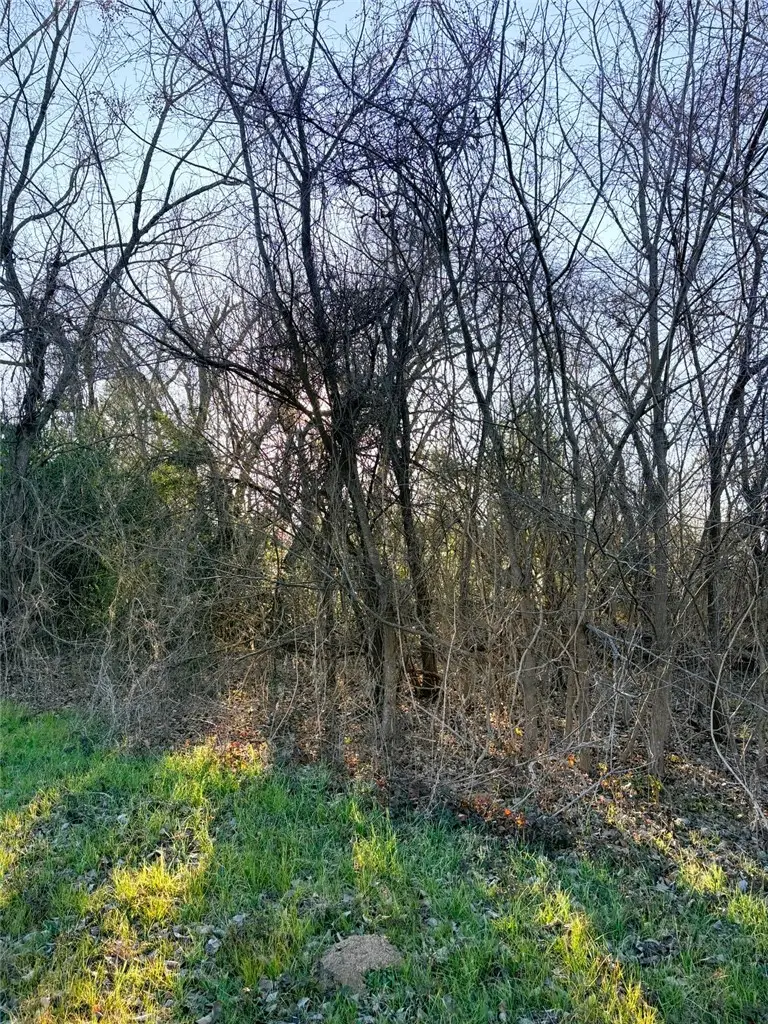 613 N San Jacinto Street, Hearne, TX 77859 - #3