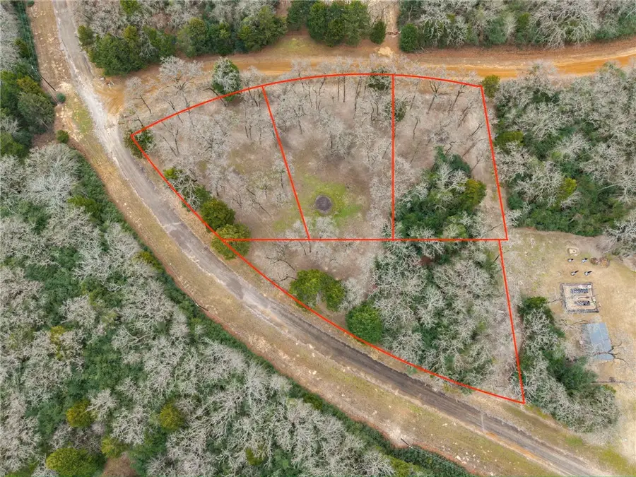 TBD Country Place, Hilltop Lakes, TX 77871 - #3