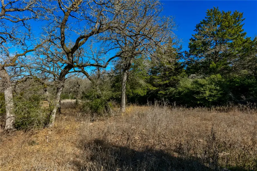 10162 County Road 321, Caldwell, TX 77836 - #3