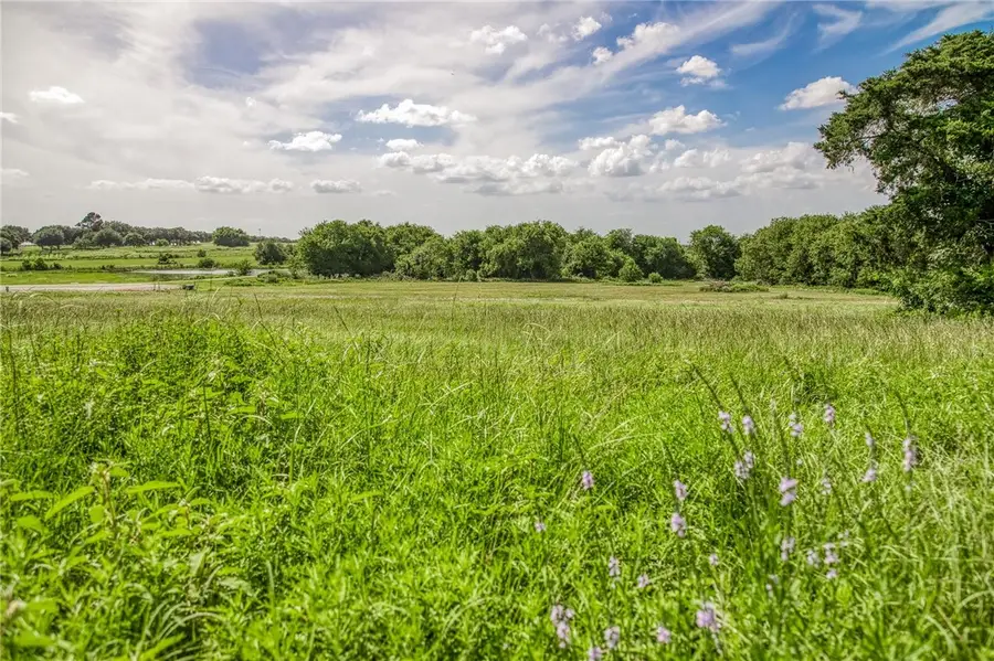 1518 Bluebonnet Ridge Drive, Chappell Hill, TX 77426 - #3
