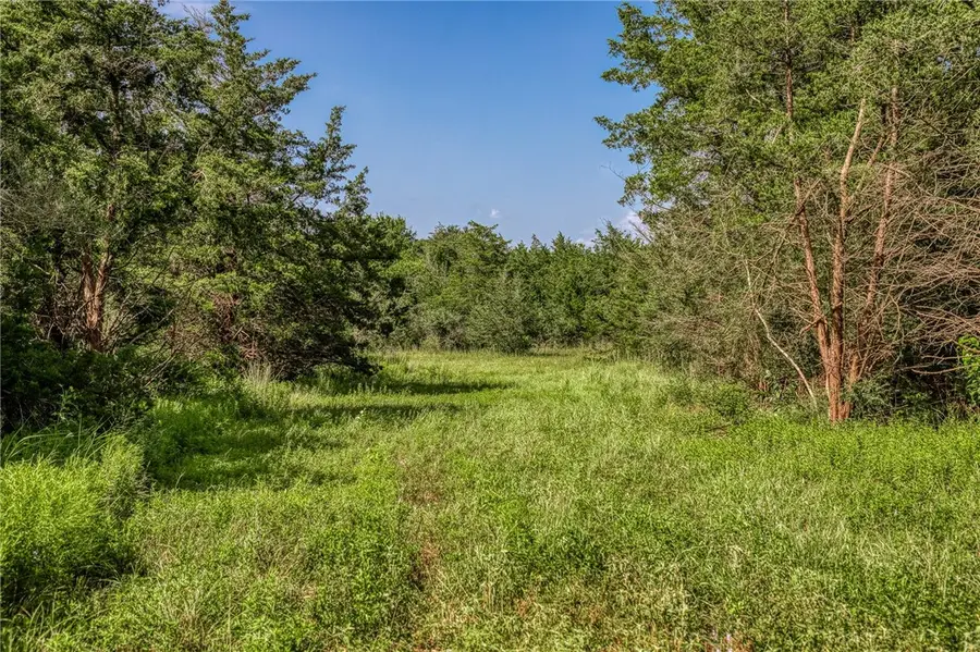 1544 Bluebonnet Ridge Drive, Chappell Hill, TX 77426 - #3