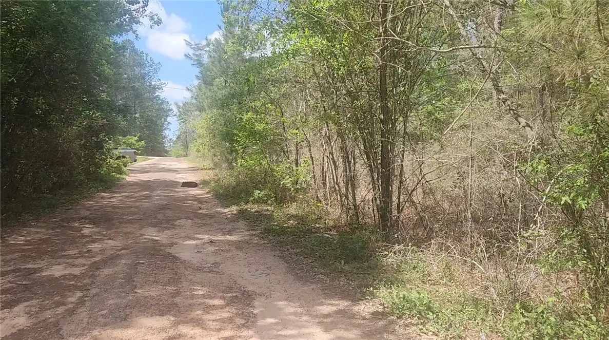 Lot 8 Yupon Lane, Plantersville, TX 77363 - #1